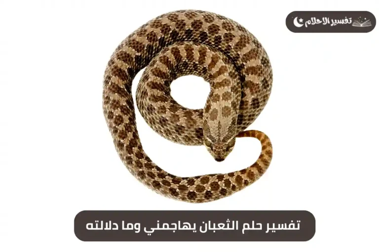 تفسير حلم الثعبان يهاجمني وما دلالته
