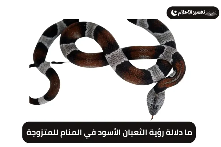 ما دلالة رؤية الثعبان الأسود في المنام للمتزوجة