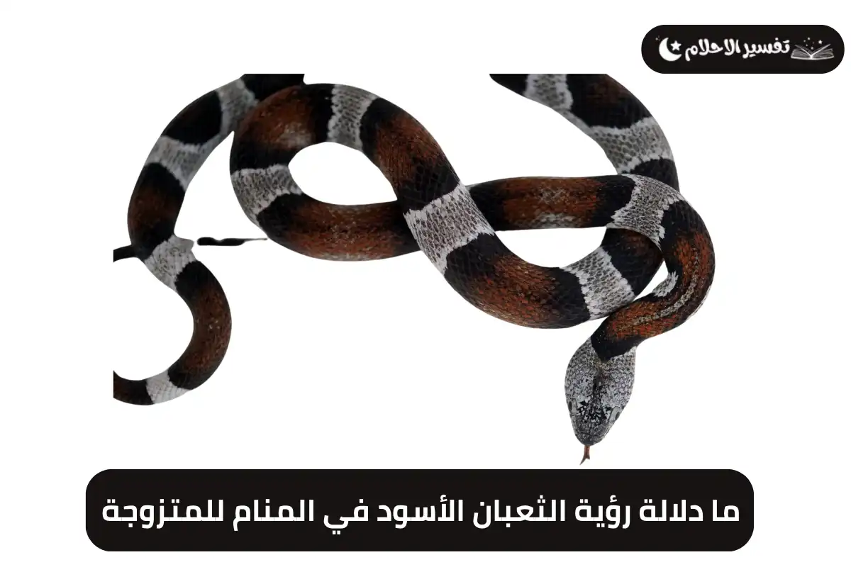 ما دلالة رؤية الثعبان الأسود في المنام للمتزوجة