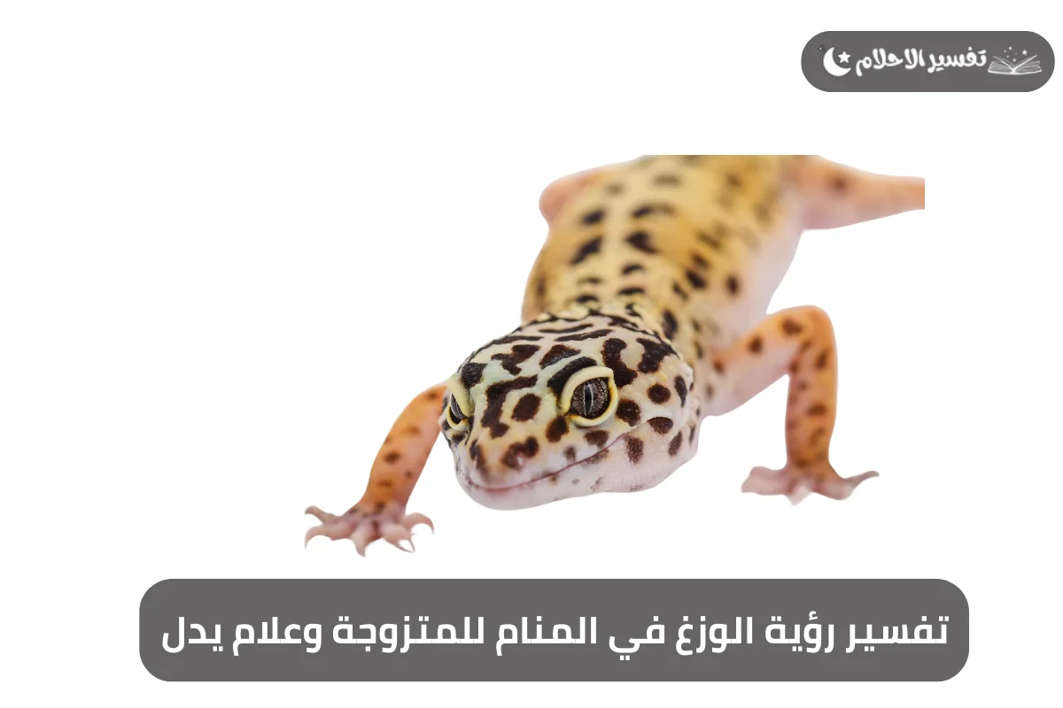 تفسير رؤية الوزغ في المنام للمتزوجة وعلام يدل