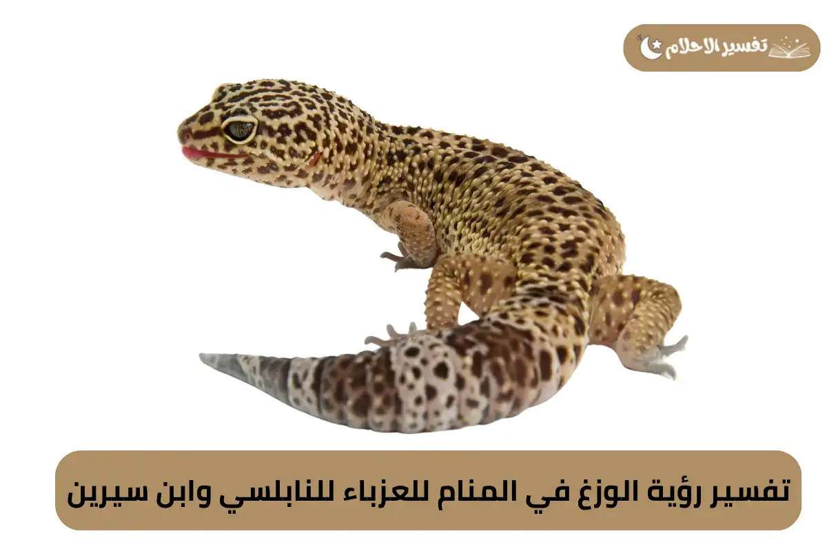 تفسير رؤية الوزغ في المنام للعزباء للنابلسي وابن سيرين
