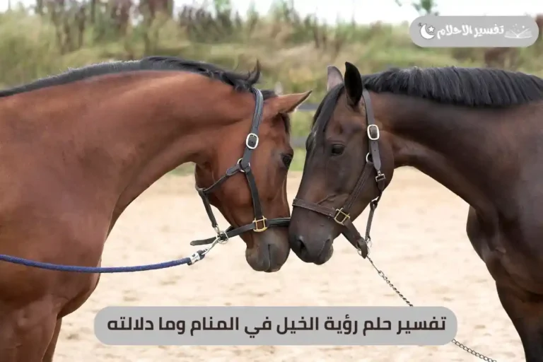 تفسير حلم رؤية الخيل في المنام وما دلالته