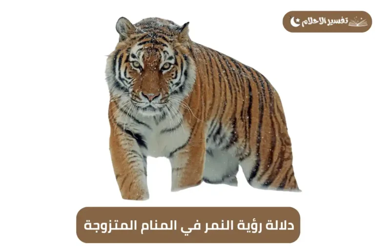 دلالة رؤية النمر في المنام المتزوجة