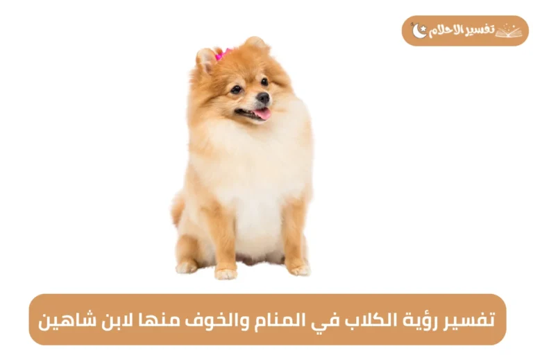 تفسير رؤية الكلاب في المنام والخوف منها لابن شاهين