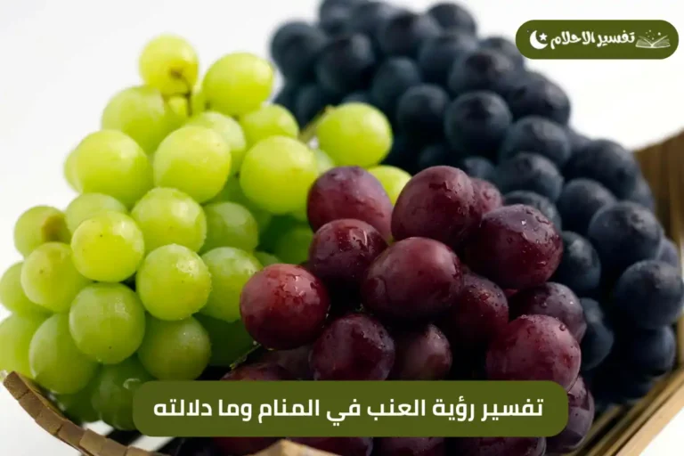 تفسير رؤية العنب في المنام وما دلالته