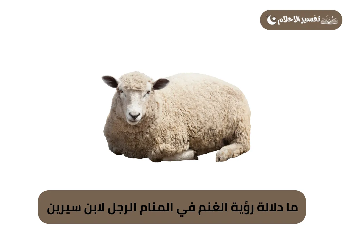 ما دلالة رؤية الغنم في المنام الرجل لابن سيرين