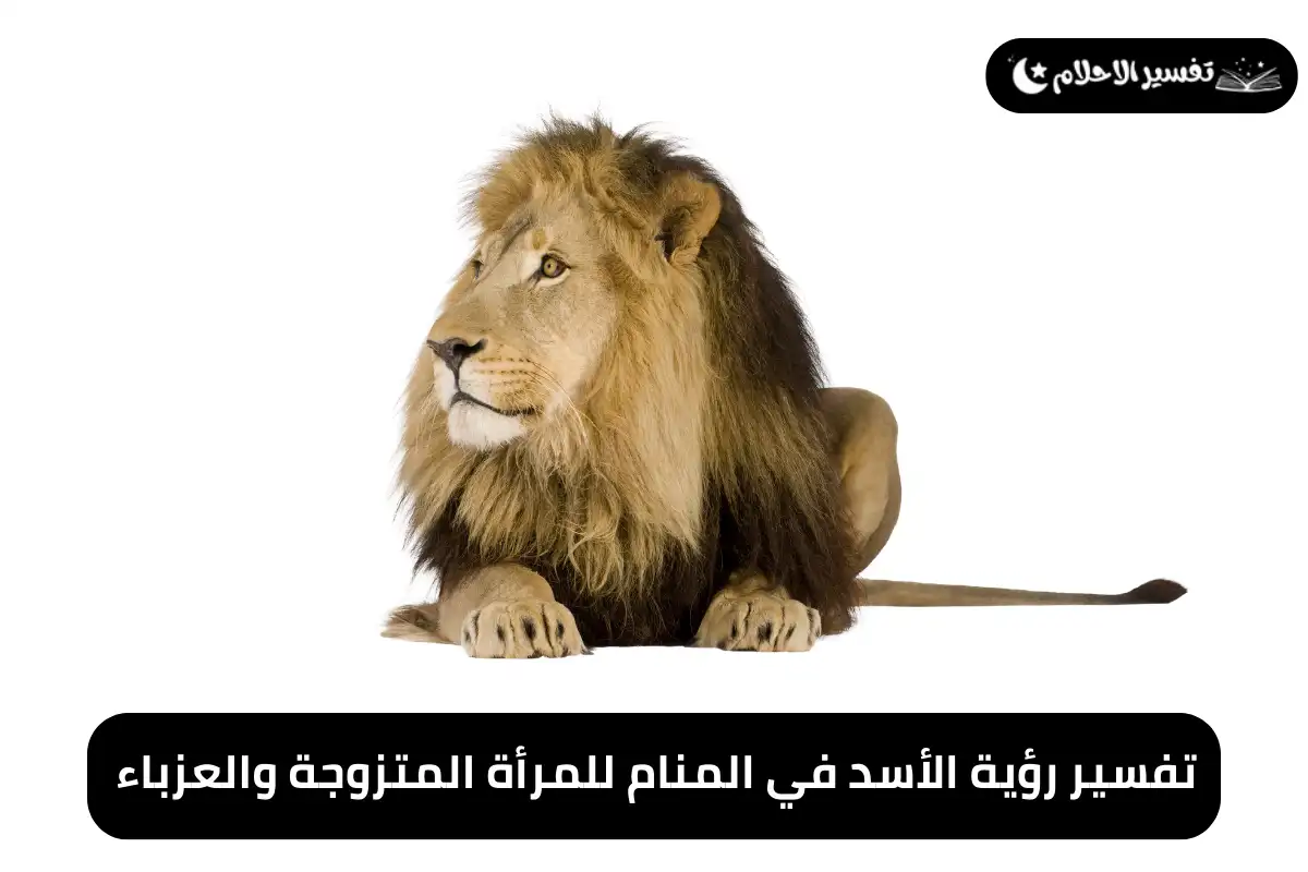تفسير رؤية الأسد في المنام للمرأة المتزوجة والعزباء
