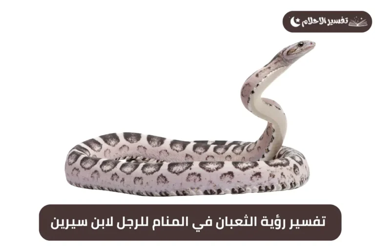 تفسير رؤية الثعبان في المنام للرجل لابن سيرين