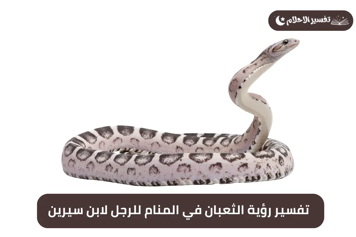 تفسير رؤية الثعبان في المنام للرجل لابن سيرين