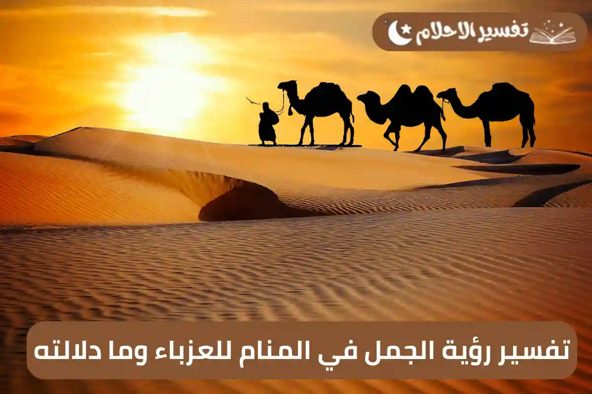 تفسير رؤية الجمل في المنام للعزباء وما دلالته