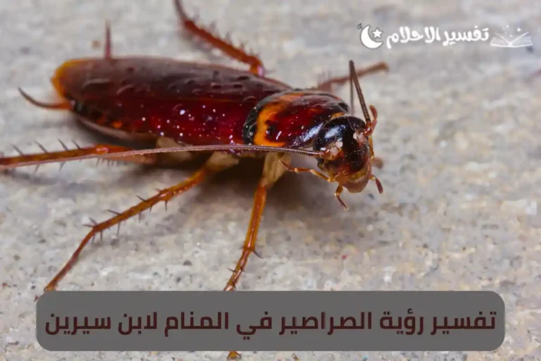 تفسير رؤية الصراصير في المنام لابن سيرين