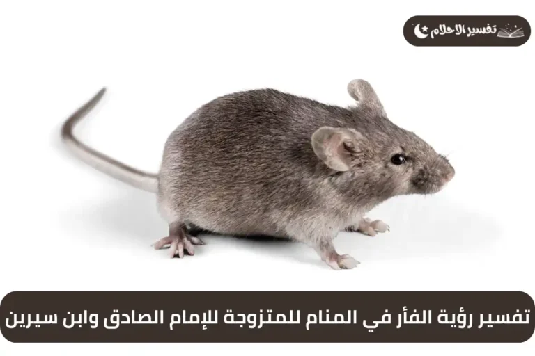 تفسير رؤية الفأر في المنام للمتزوجة للإمام الصادق وابن سيرين