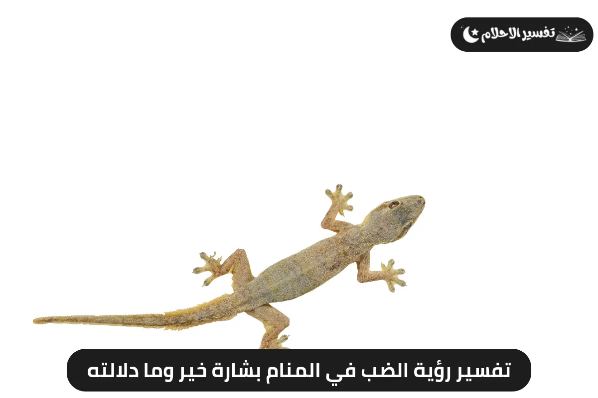 تفسير رؤية الضب في المنام بشارة خير وما دلالته