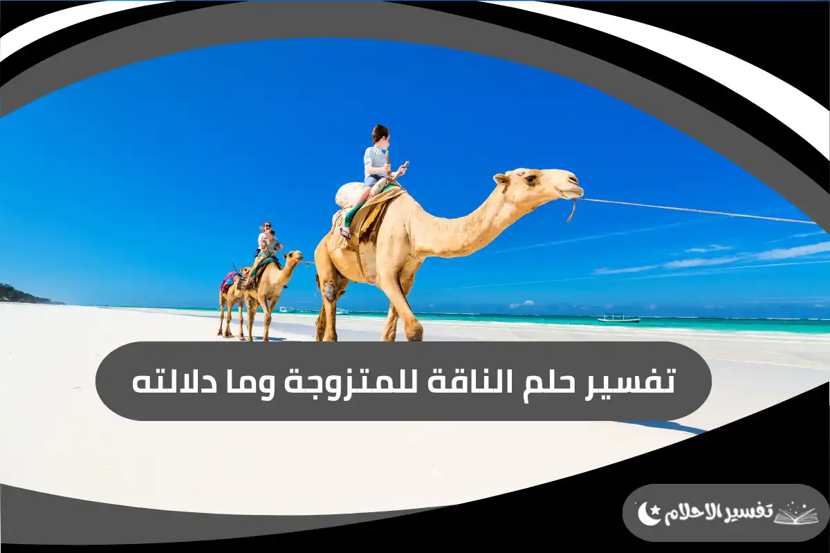 تفسير حلم الناقة للمتزوجة وما دلالته