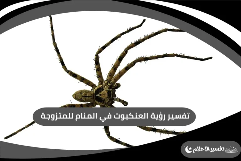 تفسير رؤية العنكبوت في المنام للمتزوجة