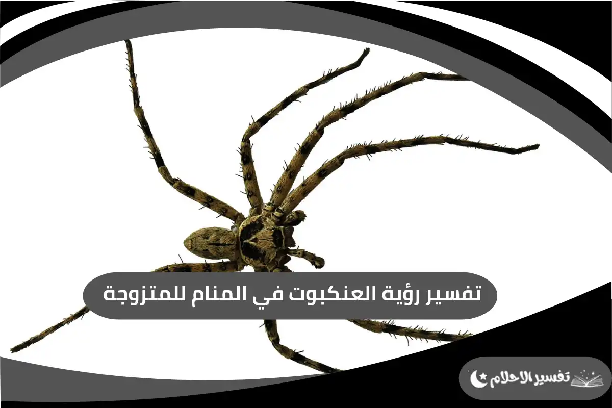 تفسير رؤية العنكبوت في المنام للمتزوجة